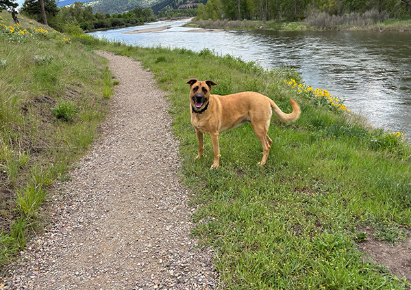 Bitterroot Trail Hiking in Missoula Montana