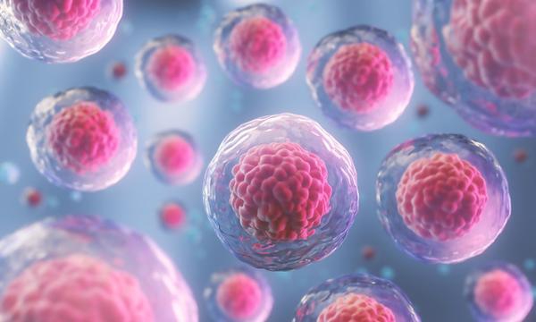Podiatric stem cell therapy 